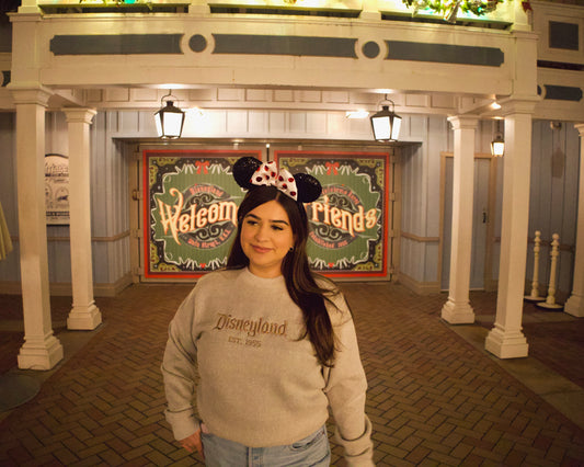 Brown Disney Embroidered Crewneck Sweater