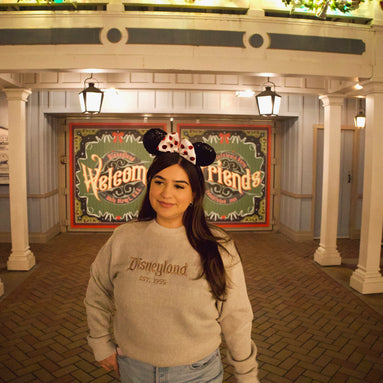 Brown Disney Embroidered Crewneck Sweater