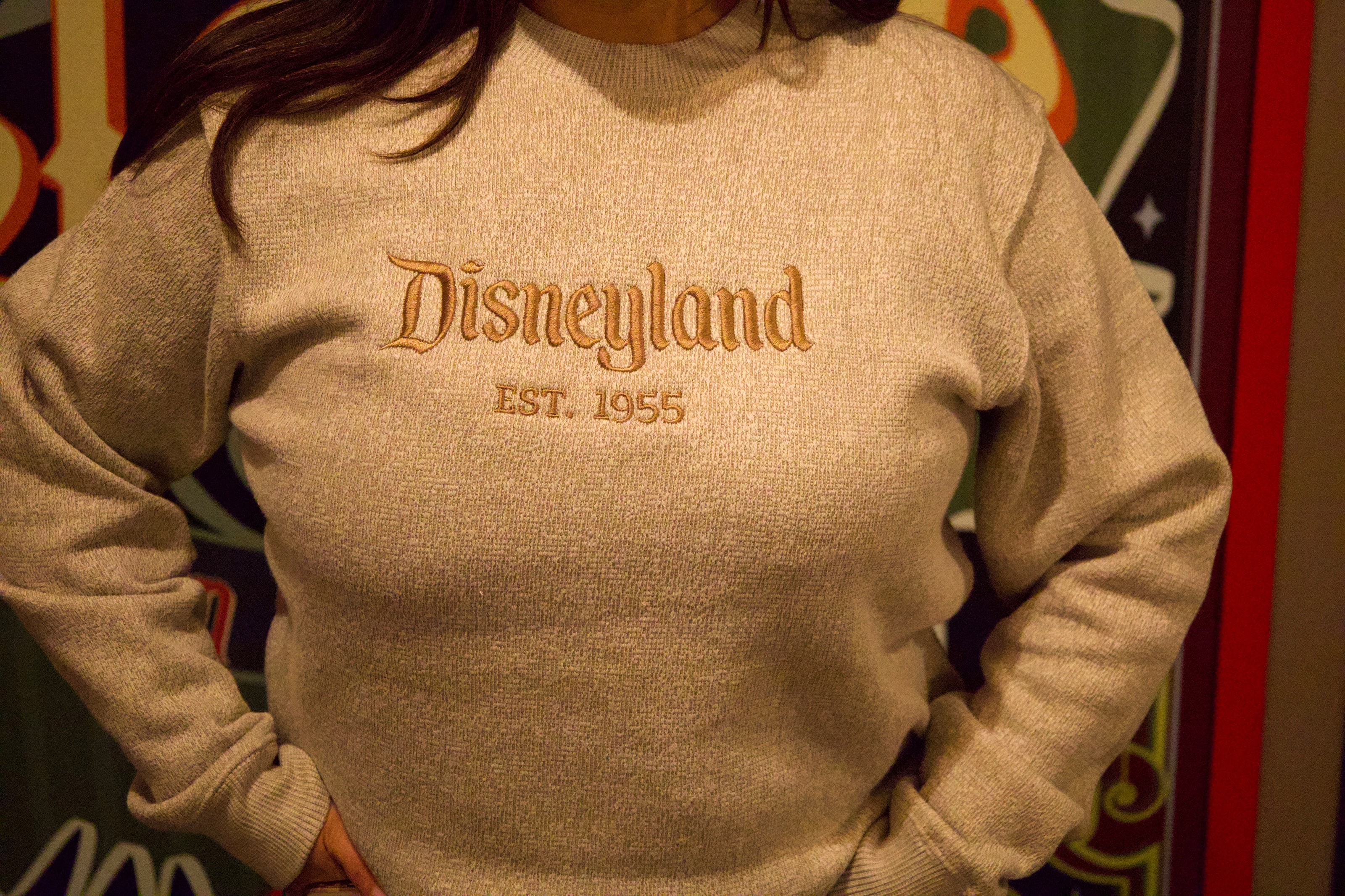 Brown Disney Embroidered Crewneck Sweater