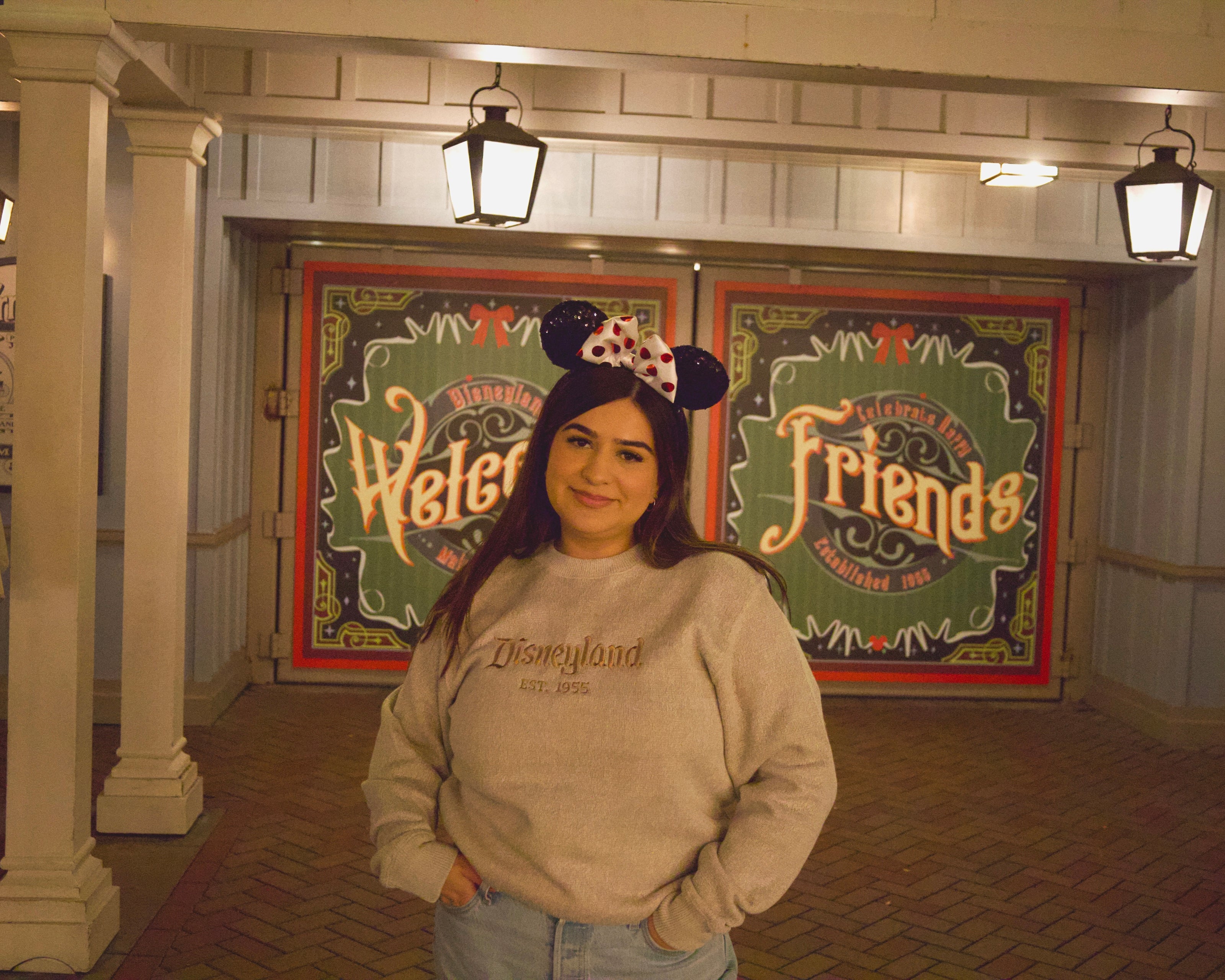 Brown Disney Embroidered Crewneck Sweater